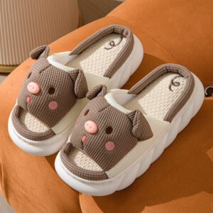 Pig Detail House Slides